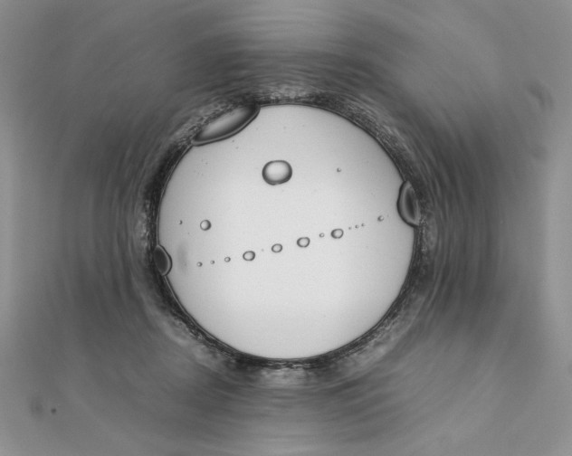 X0000111430362200908031336