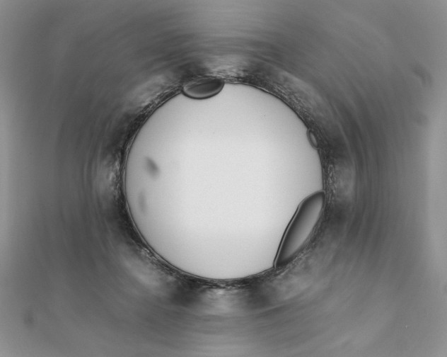 X0000111430364200908031336