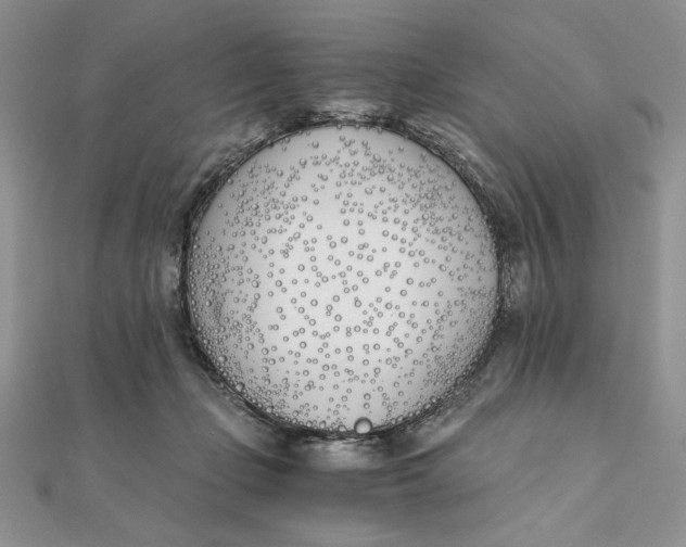 X0000111430365200908031336