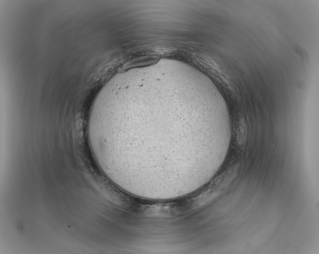 X0000111430366200908031336