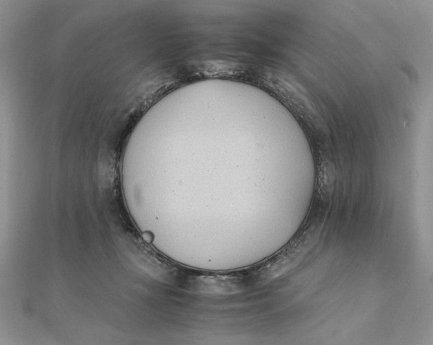 X0000111430367200908031336