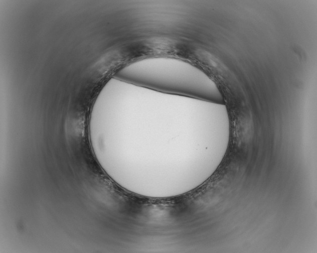 X0000111430368200908031336