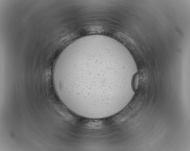 X0000111430369200908031336