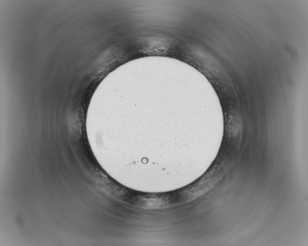 X0000111430370200908031336