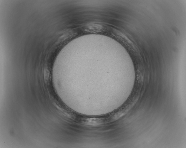 X0000111430371200908031336