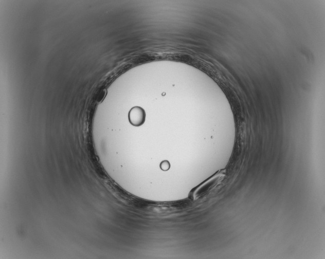 X0000111430372200908031336