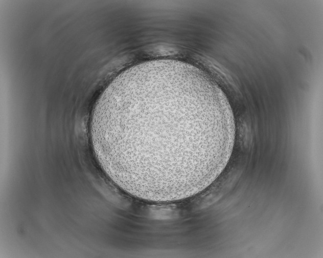 X0000111430373200908031336