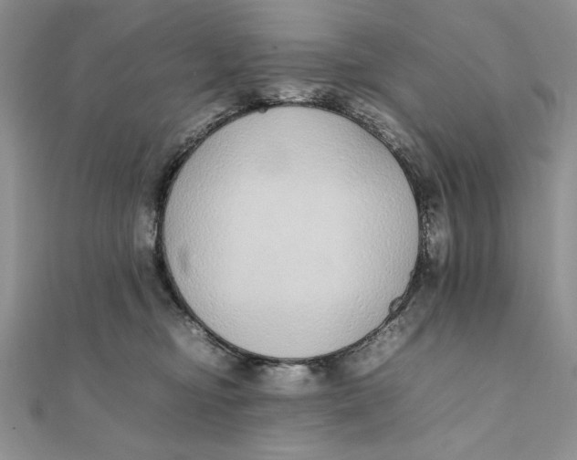 X0000111430374200908031336