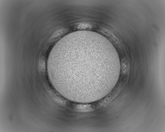 X0000111430375200908031336