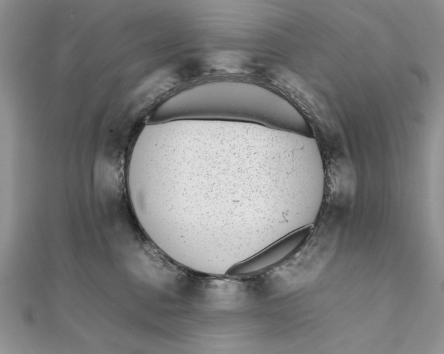 X0000111430376200908031336