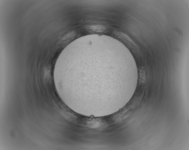 X0000111430377200908031336