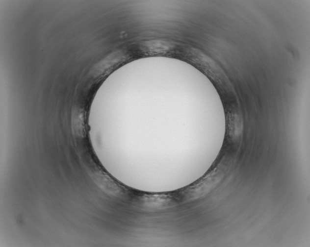 X0000111430378200908031336