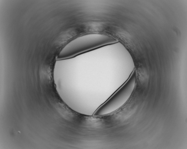 X0000111430380200908031336