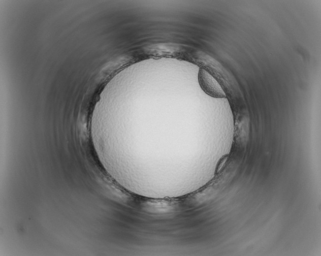 X0000111430381200908031336