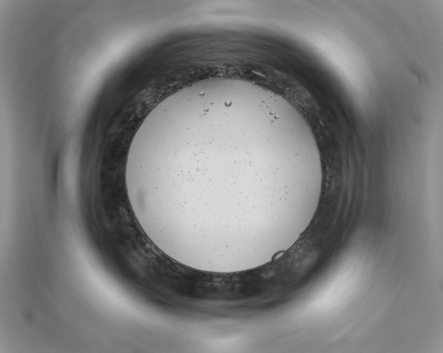 X0000111430383200908031336