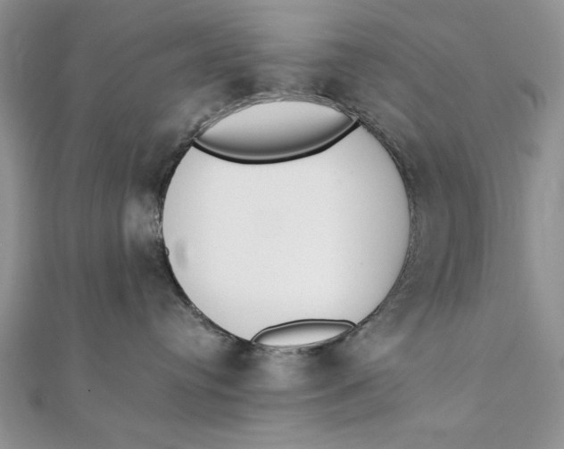 X0000111430384200908031336