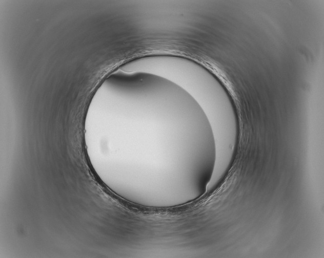 X0000111430385200908031336