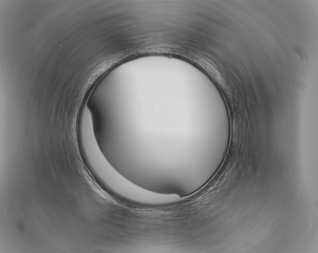 X0000111430389200908031336