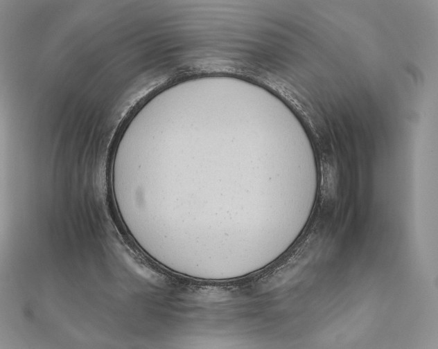 X0000111430390200908031336