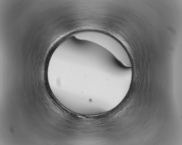 X0000111430391200908031336