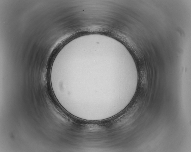 X0000111430392200908031336