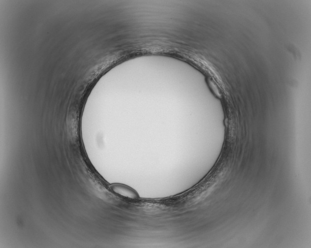 X0000111430393200908031336