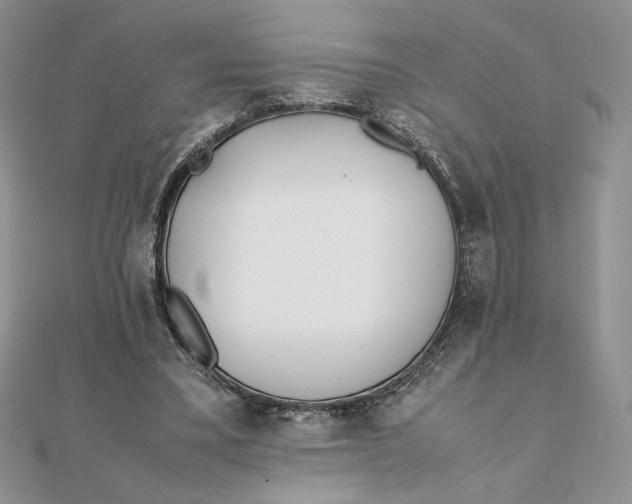 X0000111430395200908031336