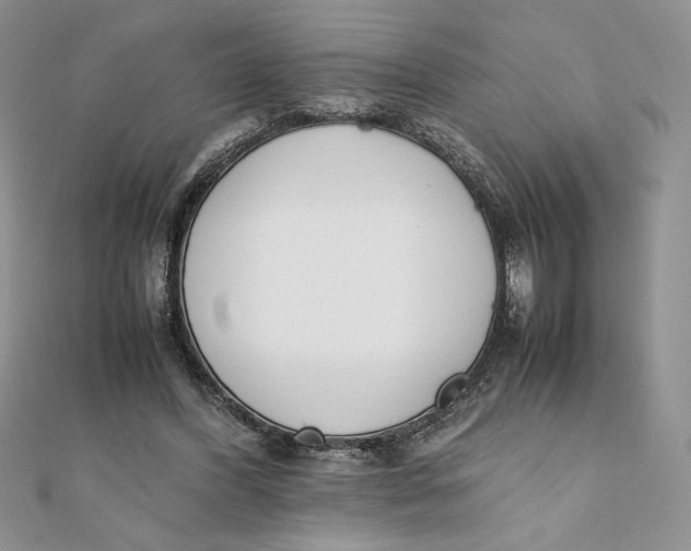 X0000111430396200908031336