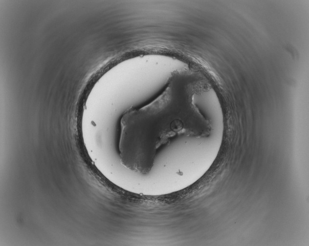 X0000111430399200908031336