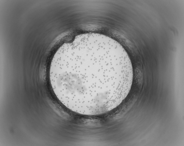 X0000111430400200908031336