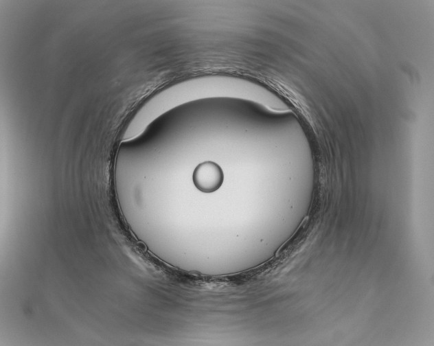 X0000111430401200908031336