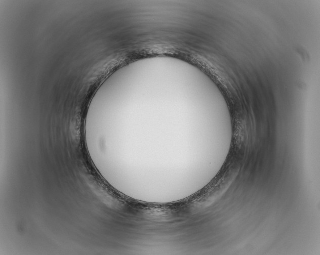 X0000111430402200908031336