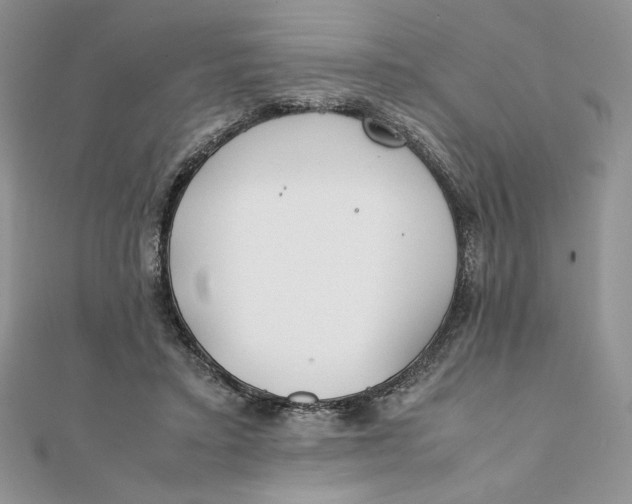 X0000111430403200908031336