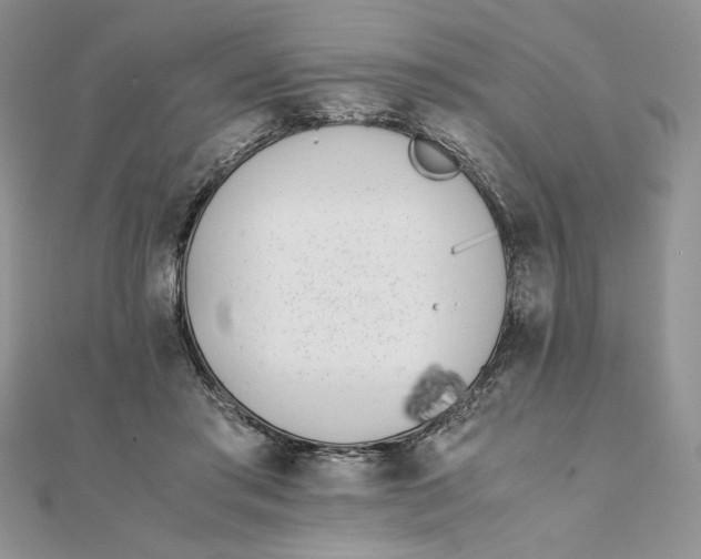 X0000111430405200908031336