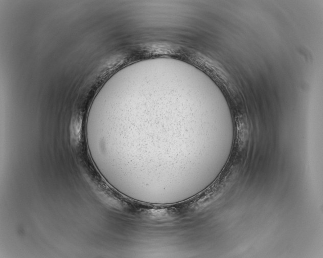 X0000111430406200908031336