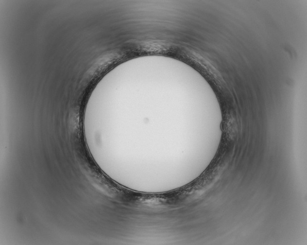 X0000111430407200908031336