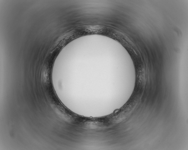 X0000111430408200908031336