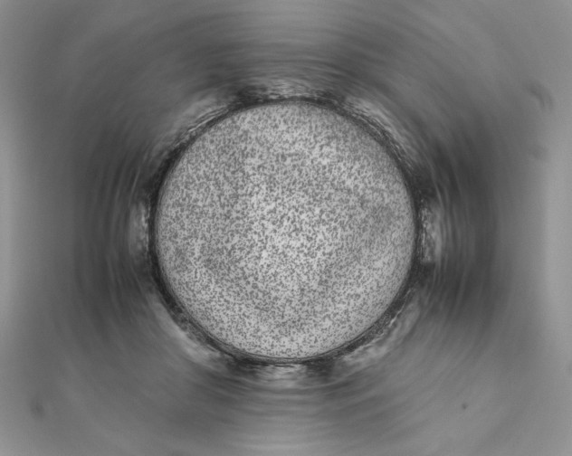 X0000111430410200908031336