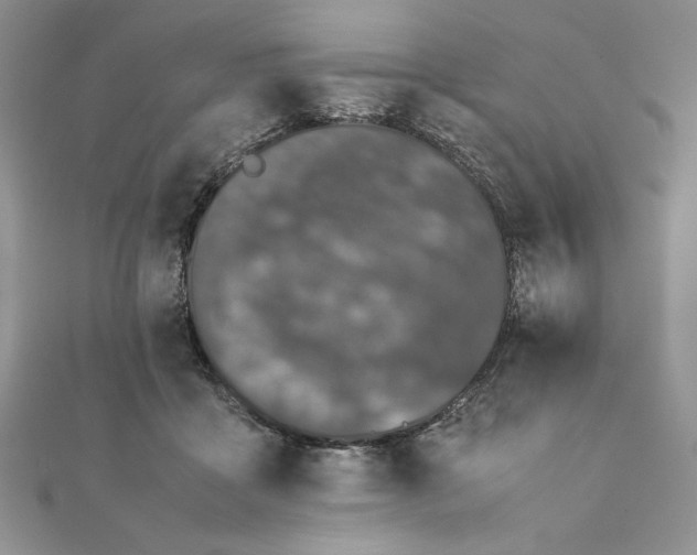 X0000111430411200908031335