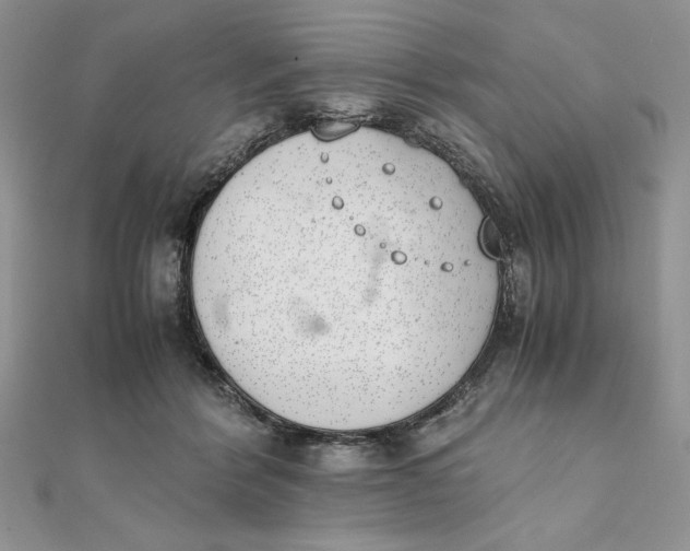 X0000111430412200908031335