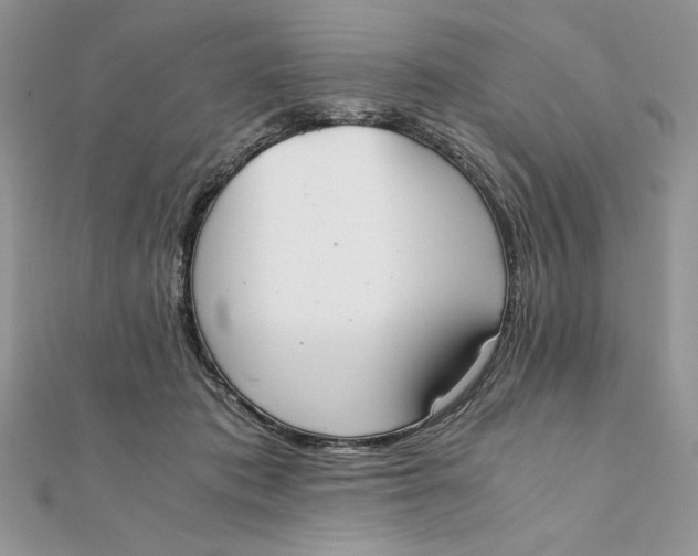 X0000111430413200908031335