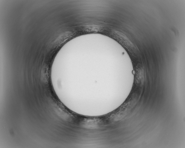 X0000111430414200908031335