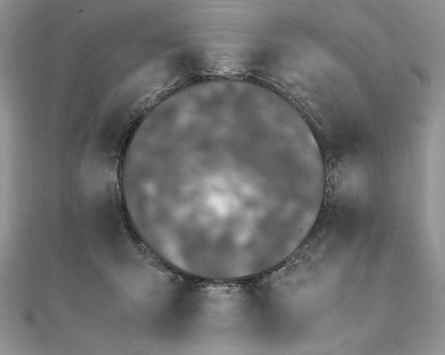 X0000111430415200908031335