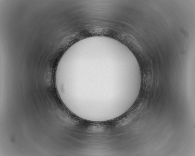 X0000111430416200908031335