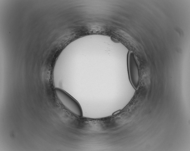 X0000111430417200908031335