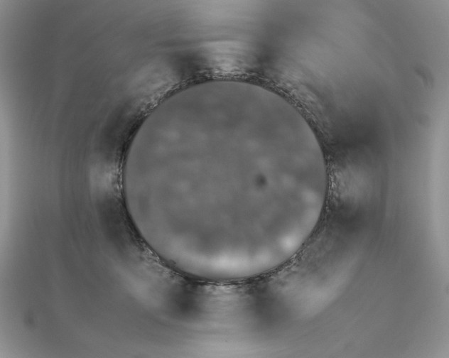 X0000111430419200908031335