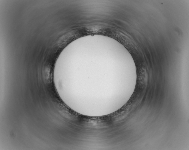 X0000111430420200908031335