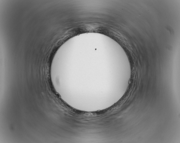 X0000111430421200908031335