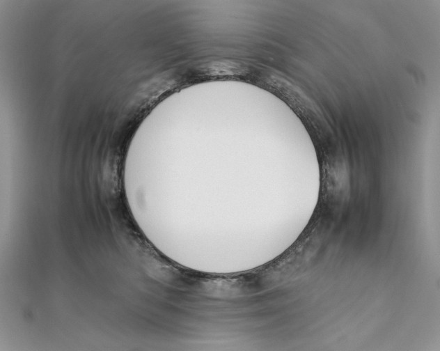 X0000111430422200908031335