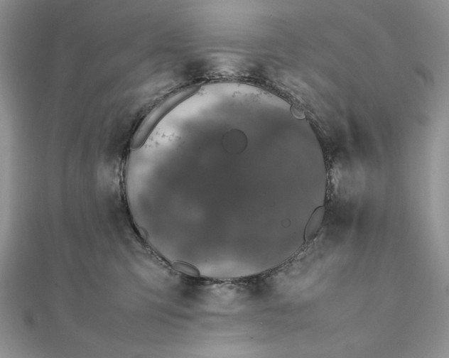 X0000111430423200908031335